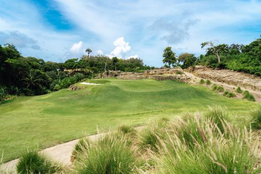 Ron Kirby gives green light to &#039;Caribbean Masterpiece&#039; at Apes Hill Barbados